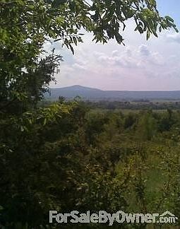 View from the backside of property
						:
						View from the backside of property
