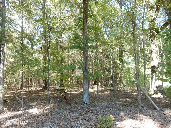 3 N Crockett Rd Lot 3, Senatobia, MS 38668