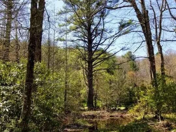 11210 Bottom Creek Rd, Bent Mountain, VA 24059