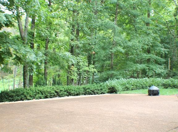 3rd image of 126 Woodvale Dr