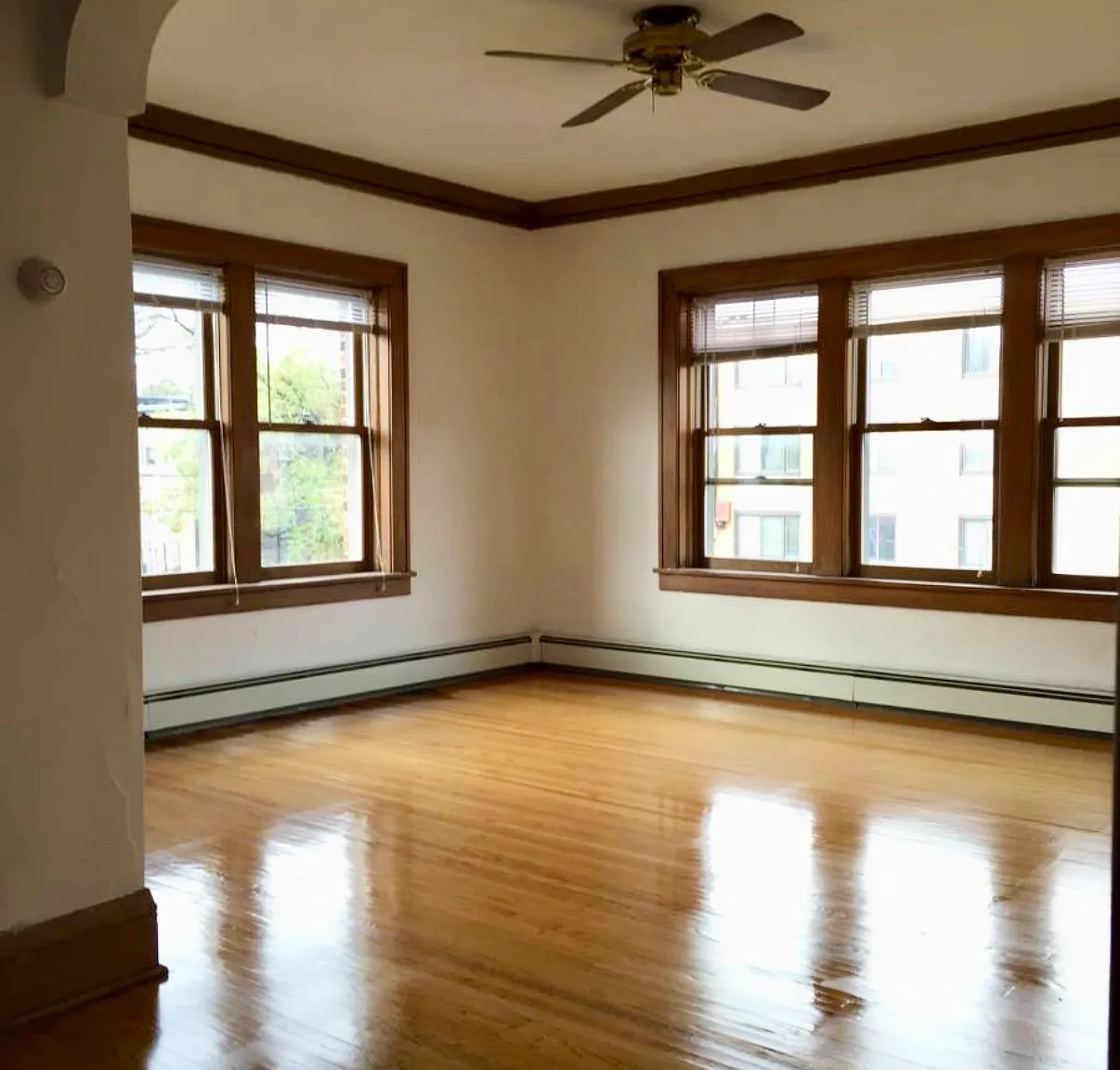 1 bed, $1,095 — Photo 3
