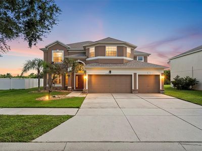 11346 Callaway Pond Dr, Riverview, FL, 33579