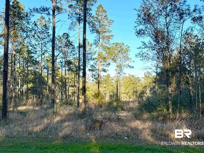 16690 Cc Rd, Elberta, AL, 36530