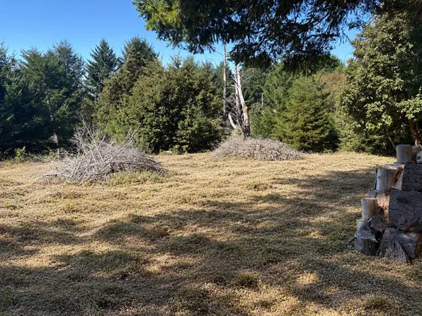98 Ridge Rd, Whitethorn, CA 95589