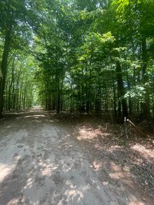 51 Ville, Grand Junction, MI, 49056