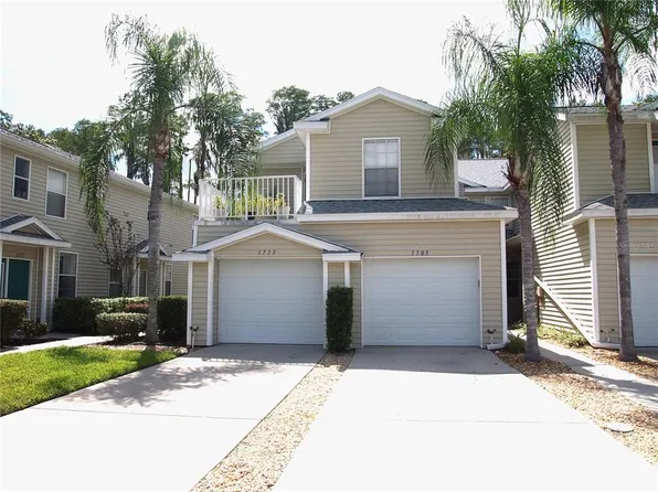 1705 Hammocks Ave, Lutz, FL 33549