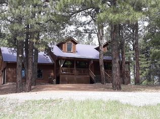 509 Dutton Dr, Pagosa Springs, CO 81147