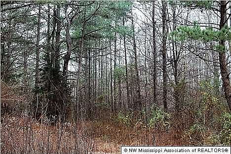 2nd image of 285 Rebecca Dr