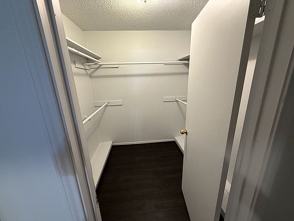 Primary bedroom closet