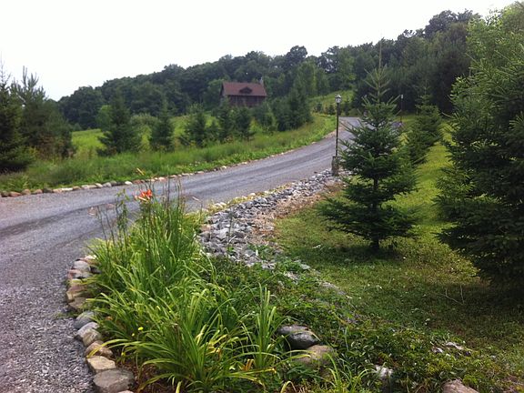 Turning in the tree lined drive