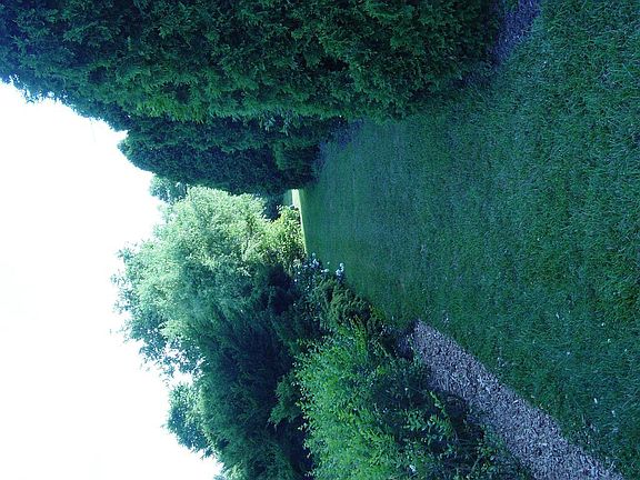 Side Yard