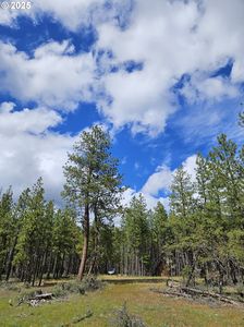 LOT 2 Hawks Wind Rd, Goldendale, WA, 98620