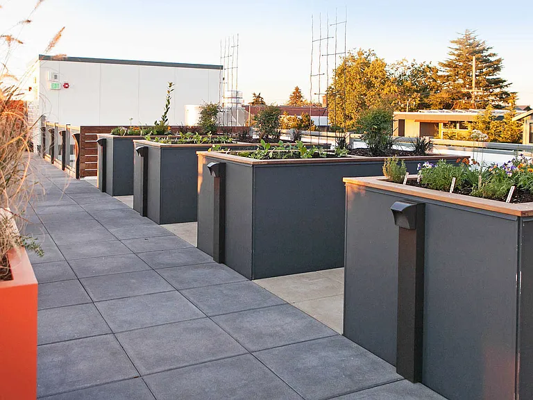 Rooftop Garden