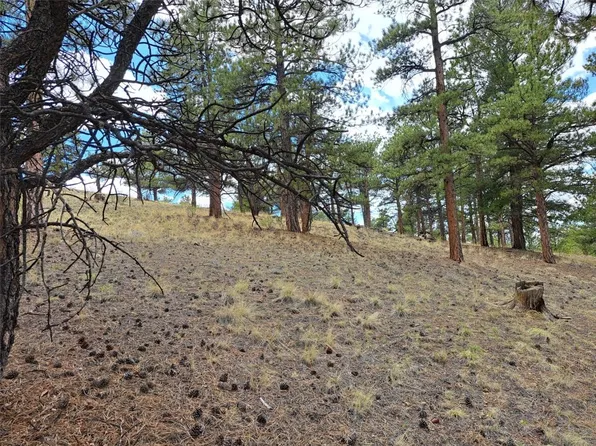 0 Spring St, Hartsel, CO 80449