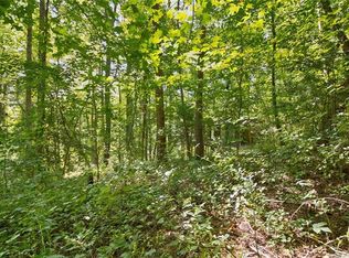 11 Toadshade Ln, Asheville, NC 28805