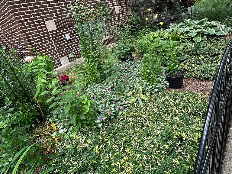 1432 W Jonquil Ter #3 — Photo 27