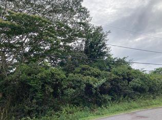 4th Avenue Awapuhi LOT 1308, Keaau, HI 96749