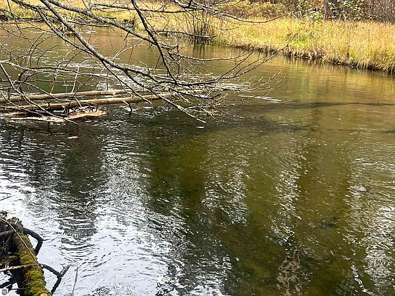 2nd image of 6051 N Manistee River Rd