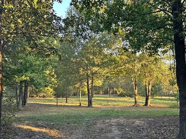 0 County Road 4885, Winnsboro, TX 75494