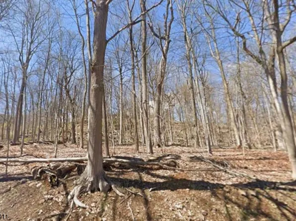 845 Johnston Dr, Watchung Boro, NJ 07069