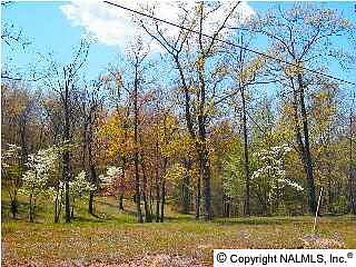 1st image of 120 Hillsdale Dr