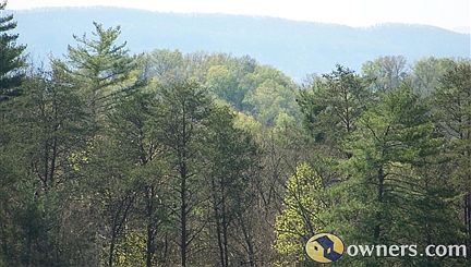 Smoky Mountains in distance