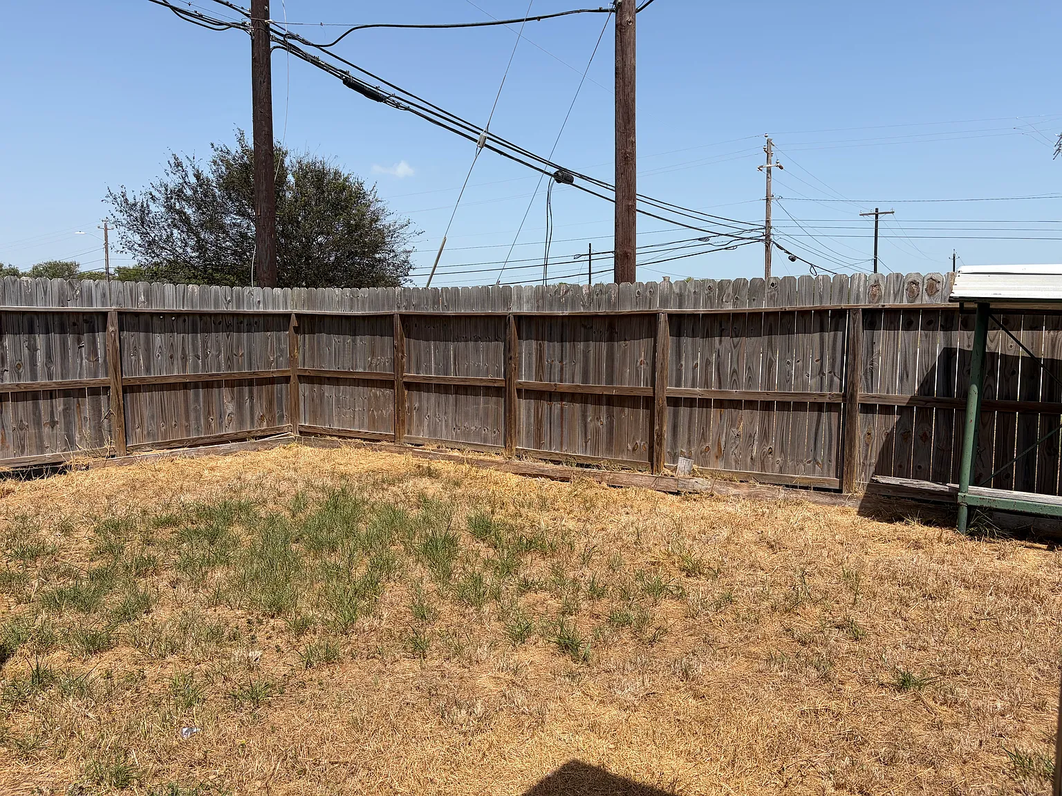 3 bed, 1261 sqft, $1,800 — Photo 3