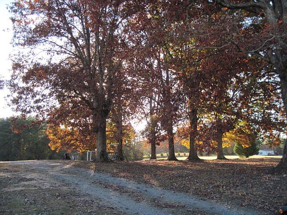 2nd image of 9254 Nc Highway 87