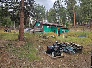 668 N Pine Dr, Bailey, CO 80421