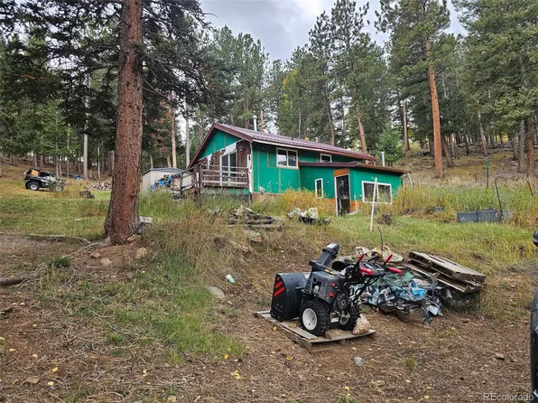 668 N Pine Drive, Bailey, CO 80421