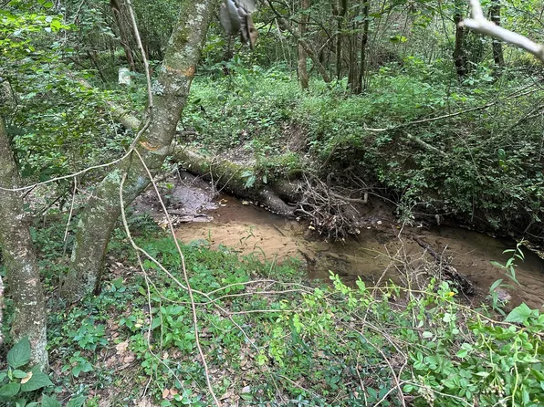 10 State Route 108, Gruetli Laager, TN 37339