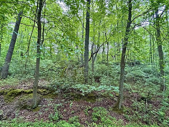 5th image of Camp Mountaineer Rd