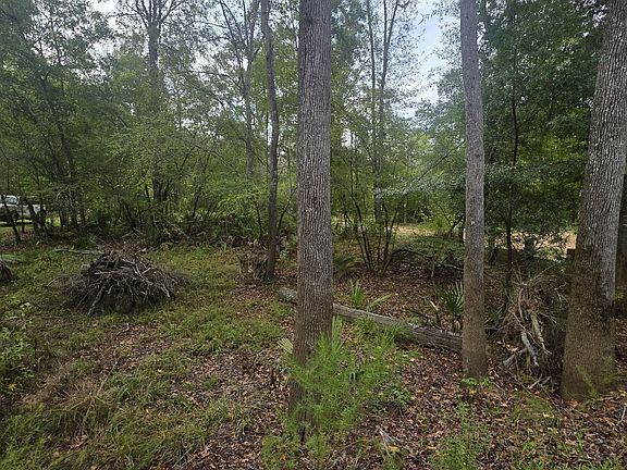 5th image of 0 Morris Landing Rd