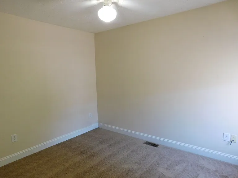 4204 Arbor Green Way — Photo 22