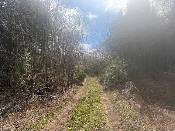 2nd image of Black River Rd