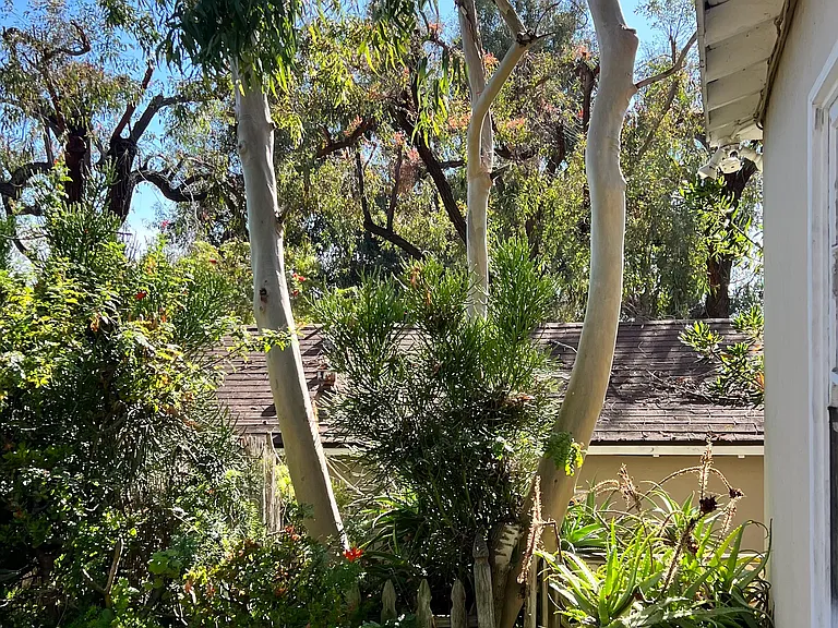 2200 S Coast Highway D.5 — Photo 7