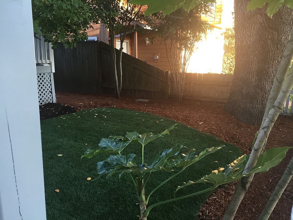 Front yard