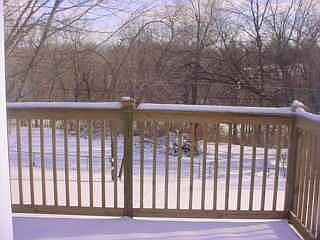 View of Woods in Back of yard