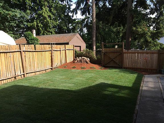 Back yard
