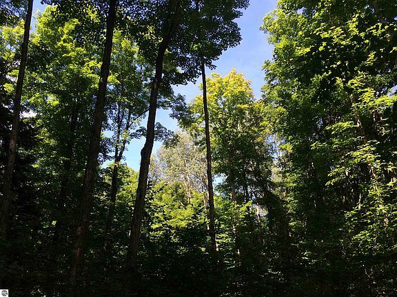4th image of Black Walnut Ln