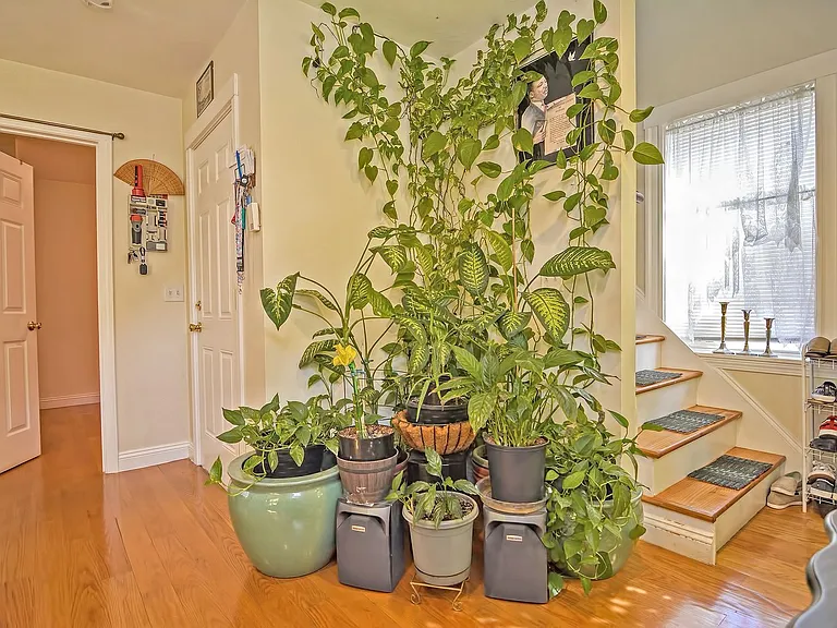 45 Nightingale St #B — Photo 25