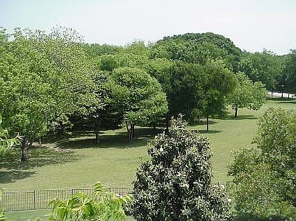 3rd image of 2702 Sylvan Way