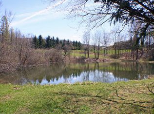 8272 Tabors Corners Rd, Springwater, NY 14560