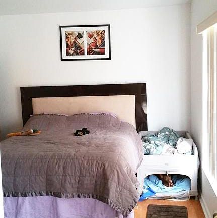 5th image of 5426 Sealine Blvd