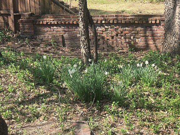 3rd image of 3658 Highland Park Pl