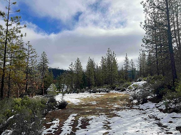 3rd image of 167 S Ponderosa Pne