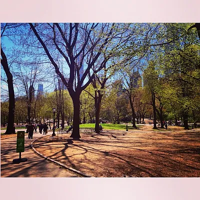 Rented by Citi Habitats | media 16