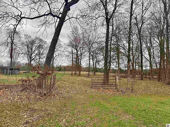 3rd image of 0 Bill Butler Rd