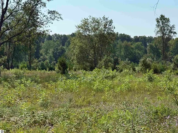 PARCEL A8 S Bright Rd, Maple City, MI 49664
