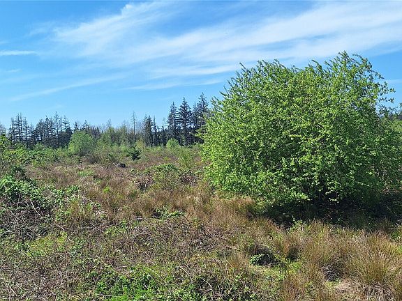 4th image of 123 Meier Road
